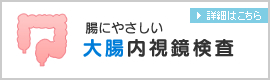 腸にやさしい大腸内視鏡検査